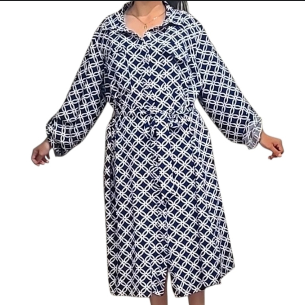 shirtwaist Dress  Blue and White Long Sleeve.